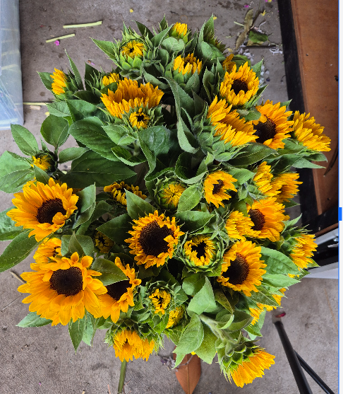 Market Bouquets: Card payment here