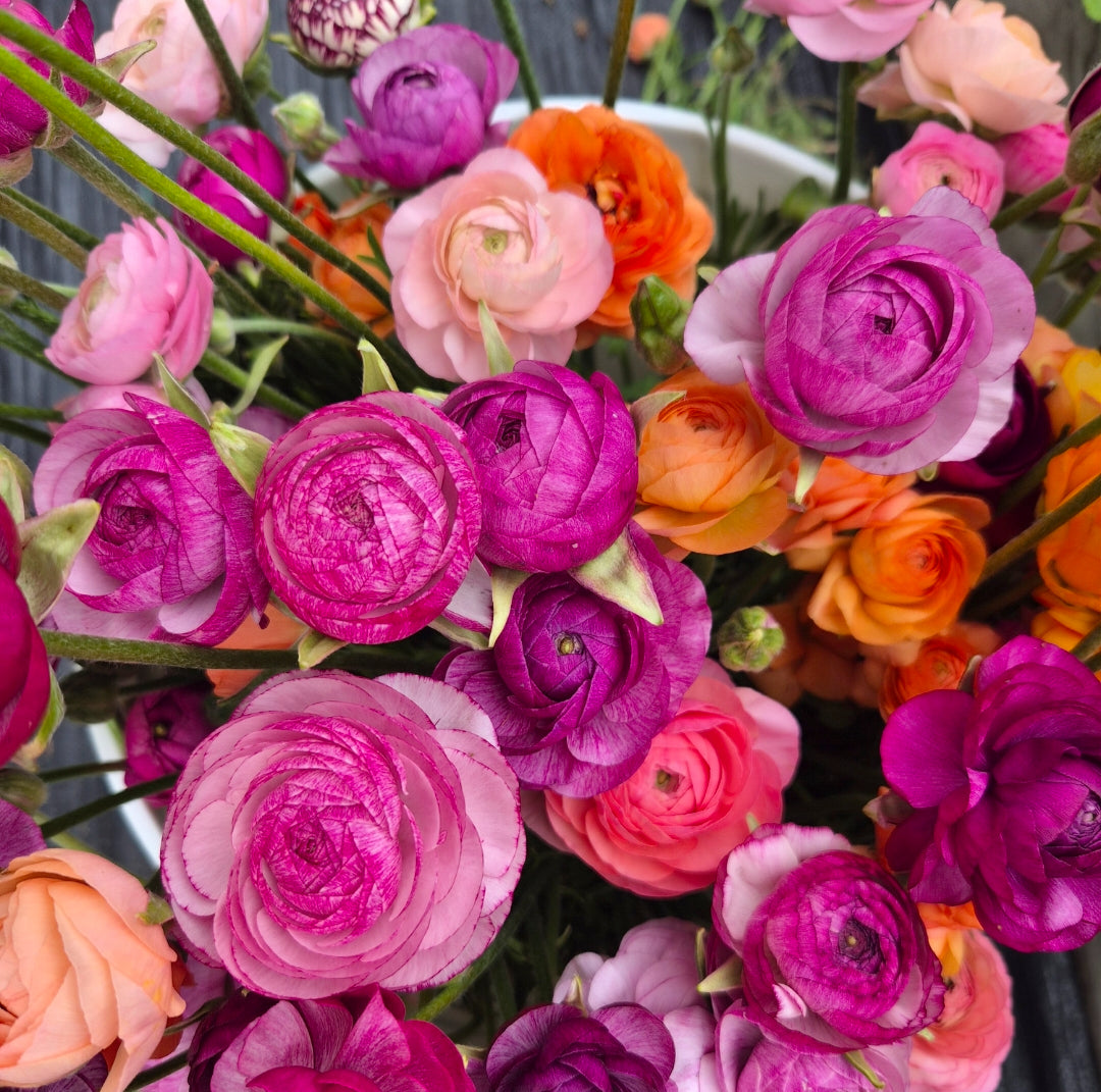 Flower Subscription (4 bouquets over 4 weeks)